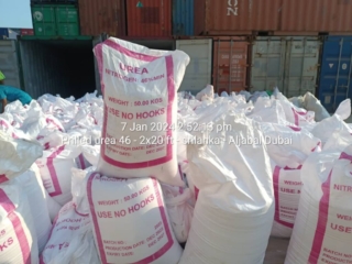 WhatsApp Image 2024-01-07 at 2.52.33 PM