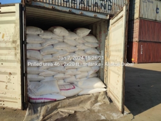 WhatsApp Image 2024-01-07 at 3.23.49 PM